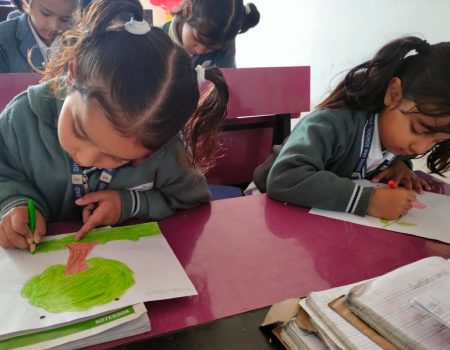 WhatsApp Image 2024-03-20 at 2.51.34 PM (1)